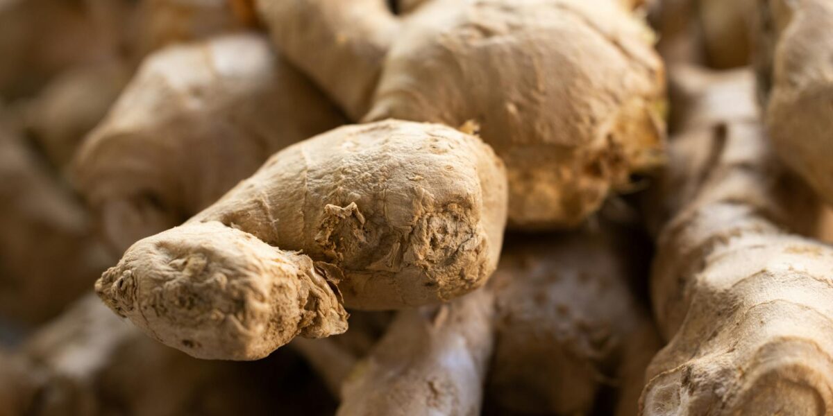 What Is Ginger? The Complete Guide to Fresh Ginger in Asian Cooking