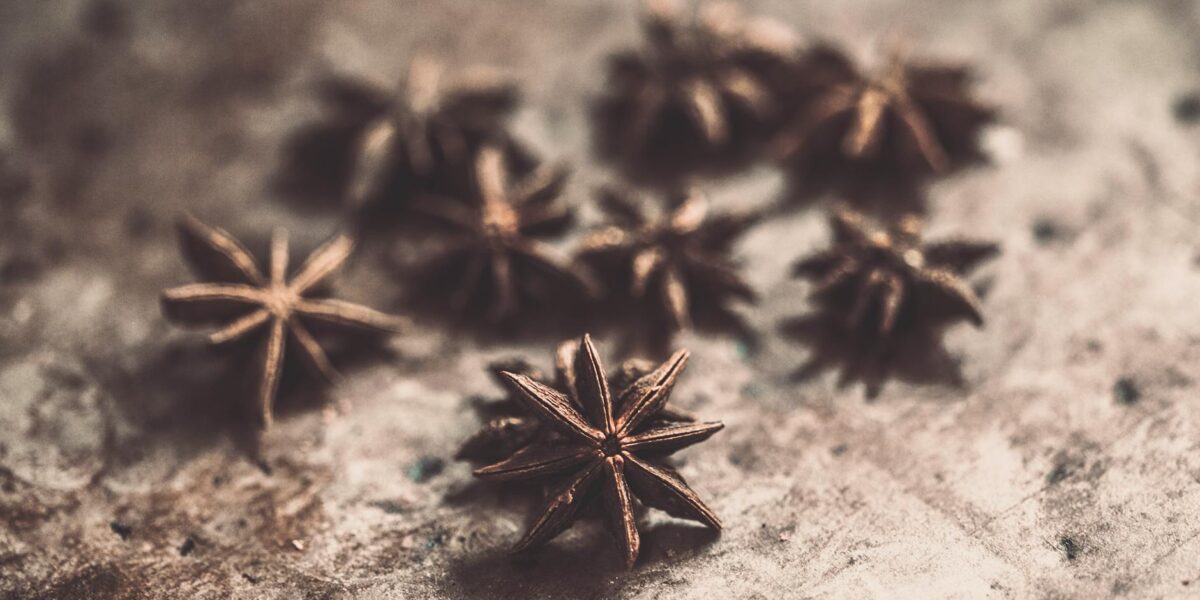 What Is Star Anise? The Complete Guide to the Star-Shaped Spice