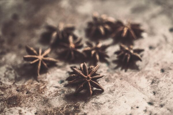 What Is Star Anise? The Complete Guide to the Star-Shaped Spice