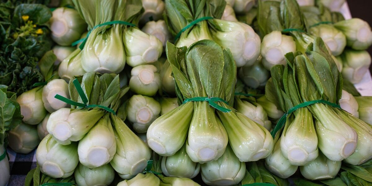What Is Bok Choy? The Complete Guide to Chinese White Cabbage