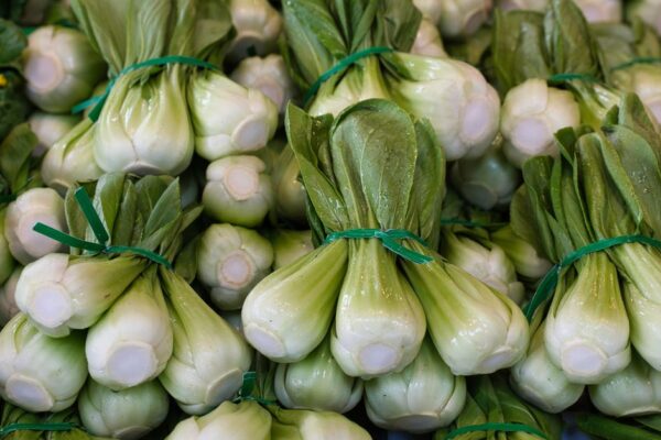 What Is Bok Choy? The Complete Guide to Chinese White Cabbage