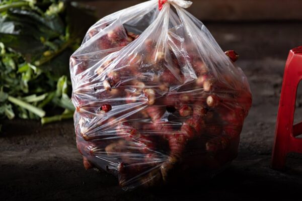 What Is Galangal? The Complete Guide to Thai Ginger and Southeast Asian Cooking